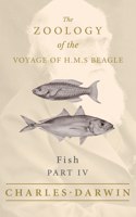 Fish - Part IV - The Zoology of the Voyage of H.M.S Beagle