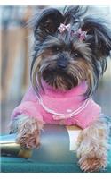 Yorkshire Terrier Says, "Get Me Out Of This Pink Shirt!" Journal: 150 page lined notebook/diary