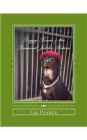 Doggy Bonar & the Diamond Jubilee Return