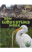 How Ecosystems Work