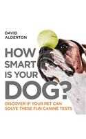 How Smart Is Your Dog?