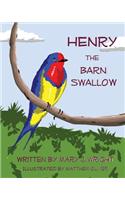 Henry the Barn Swallow