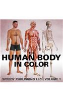 Human Body In Color Volume 1