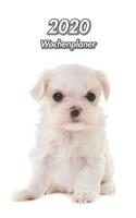 2020 Wochenplaner: Malteser - 107 Seiten, 15cm x 23cm ca. A5 - Taschenkalender - Terminplaner - Tagebuch - Terminkalender - Organizer für Hundeliebhaber