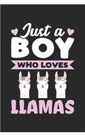 Just A Boy Who Loves Llamas