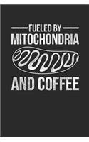 Fueled By Mitochondria