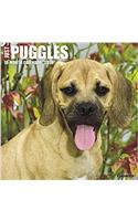 Just Puggles 2018 Calendar