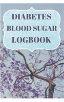 Diabetes Blood Sugar Logbook