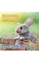Bunnies Calendar 2020: 16 Month Calendar