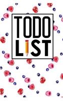 To Do List Notebook: (To Do List Notebook)