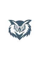 Owl Notebook