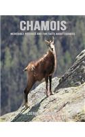 Chamois