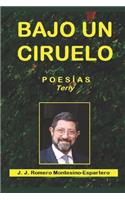 Bajo Un Ciruelo