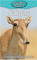 Saigas