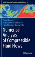 Numerical Analysis of Compressible Fluid Flows