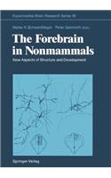 Forebrain in Nonmammals