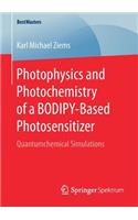 Photophysics and Photochemistry of a BODIPY-Based Photosensitizer