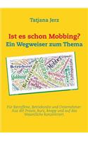 Ist es schon Mobbing? Ein Wegweiser zum Thema: Für Betroffene, Betriebsräte und Unternehmer: Aus der Praxis, kurz, knapp und auf das Wesentliche konzentriert.(German)
