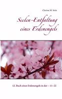 Seelen Entfaltung eines Erdenengels: 12. Buch eines Erdenengels in der 11 22
