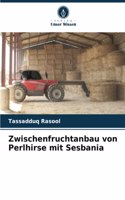 Zwischenfruchtanbau von Perlhirse mit Sesbania