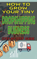 How to Grow Your Tiny Dropshipping Business