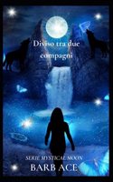 Diviso tra due compagni: Serie Mystical Moon(1 Serie Mystical Moon)