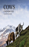 Cows Calendar 2021