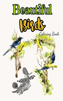 Beautiful Birds Coloring Book