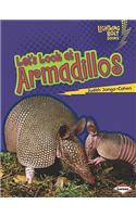 Let's Look at Armadillos