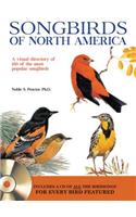 Songbirds of North America