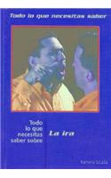 Todo Lo Que Necesitas Saber Sobre La IRA (Everything You Need to Know about Anger)