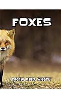 Foxes: draw and write journal for kids. 8.5 x 11. 60 pages.