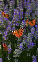 Notebook: Lavender and Butterflies in the Garden 5 x 8 150 Ruled Pages