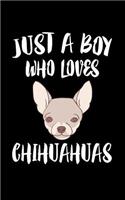 Just A Boy Who Loves Chihuahuas