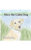 Alice the Cabin Dog