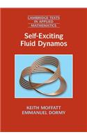 Self-Exciting Fluid Dynamos