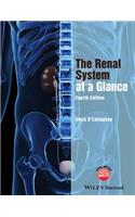 Renal System at a Glance