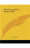 The Lesser Antillean Macaws (1905)