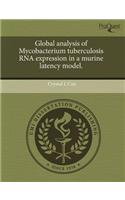 Global Analysis of Mycobacterium Tuberculosis RNA Expression in a Murine Latency Model
