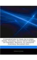 Articles on Conservation in Iraq, Including