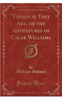 Things as They Are, or the Adventures of Caleb Williams, Vol. 1 of 3 (Classic Reprint)