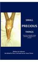 Small Precious Things: Experience and Godly Wisdom Spiritually Colliding in a Set of Hands(English)