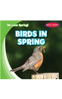 Birds in Spring