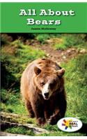All about Bears