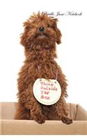 Poodle June Notebook Poodle Record, Log, Diary, Special Memories, To Do List, Academic Notepad, Scrapbook & More