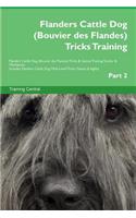 Flanders Cattle Dog (Bouvier des Flandes) Tricks Training Flanders Cattle Dog (Bouvier des Flandes) Tricks & Games Training Tracker & Workbook. Includes: Flanders Cattle Dog Multi-Level Tricks, Games & Agility. Part 2