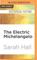 Electric Michelangelo