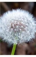 Make a Wish Fluffy White Dandelion Gone to Seed Journal: 150 Page Lined Notebook/Diary