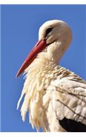 Awesome Portrait of a Stork in Profile Bird Journal: 150 Page Lined Notebook/Diary