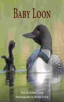 Baby Loon